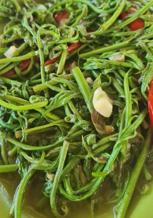 Foto resep Tumis kelakai