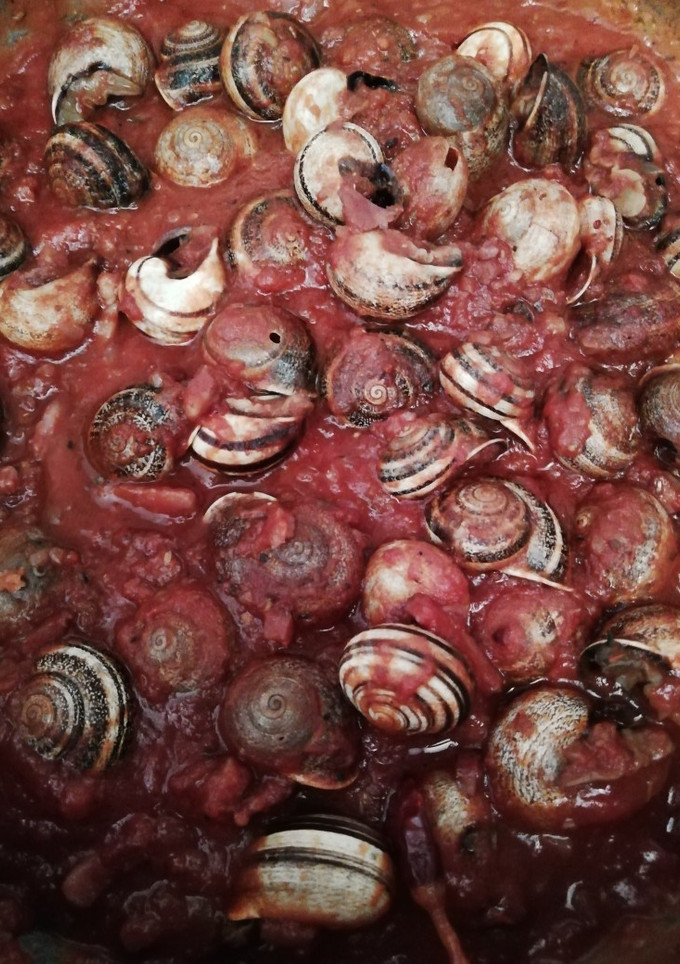 Una foto de Caracoles con tomate