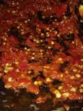 Sambal mentah petis coklat