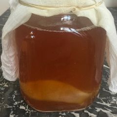 A picture of Kombucha base(hotel).