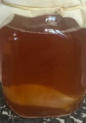 A picture of Kombucha base(hotel).
