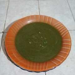 A picture of Sopa de Acelga!.