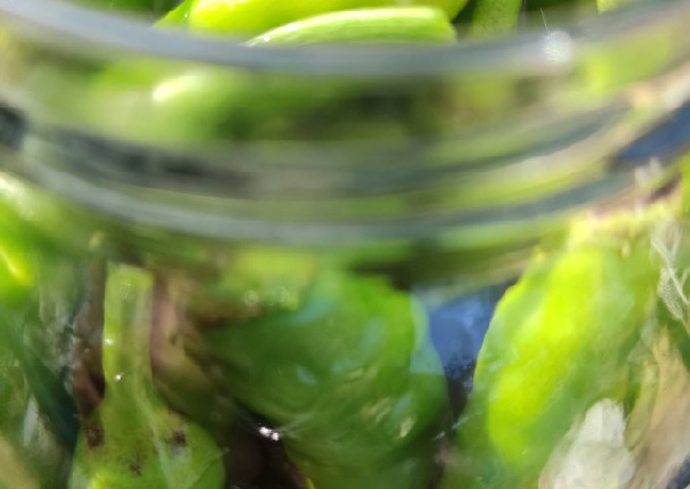 Piparrak de la huerta