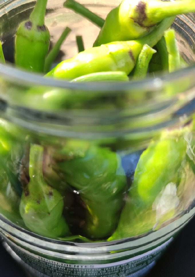 Una foto de Piparrak de la huerta