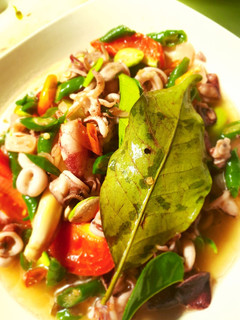 Foto resep Tumis Cumi Pete
