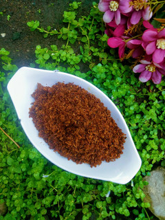 Foto resep Abon Ayam