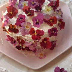 A picture of Lovely Violet Chiffon Cake.