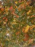 Rice soup stew