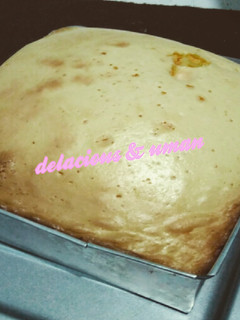 Foto resep Bolu Nutrijel Delacious