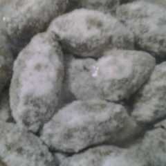 รูปของ Putri Salju Coklat