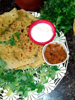मेथी पराठा (methi paratha recipe in Hindi) रेसिपी मुख्य फोटो
