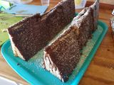 Cabin cake