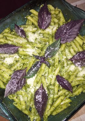 A picture of Wild basilco penne pasta.