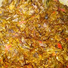 A picture of Mzungi.