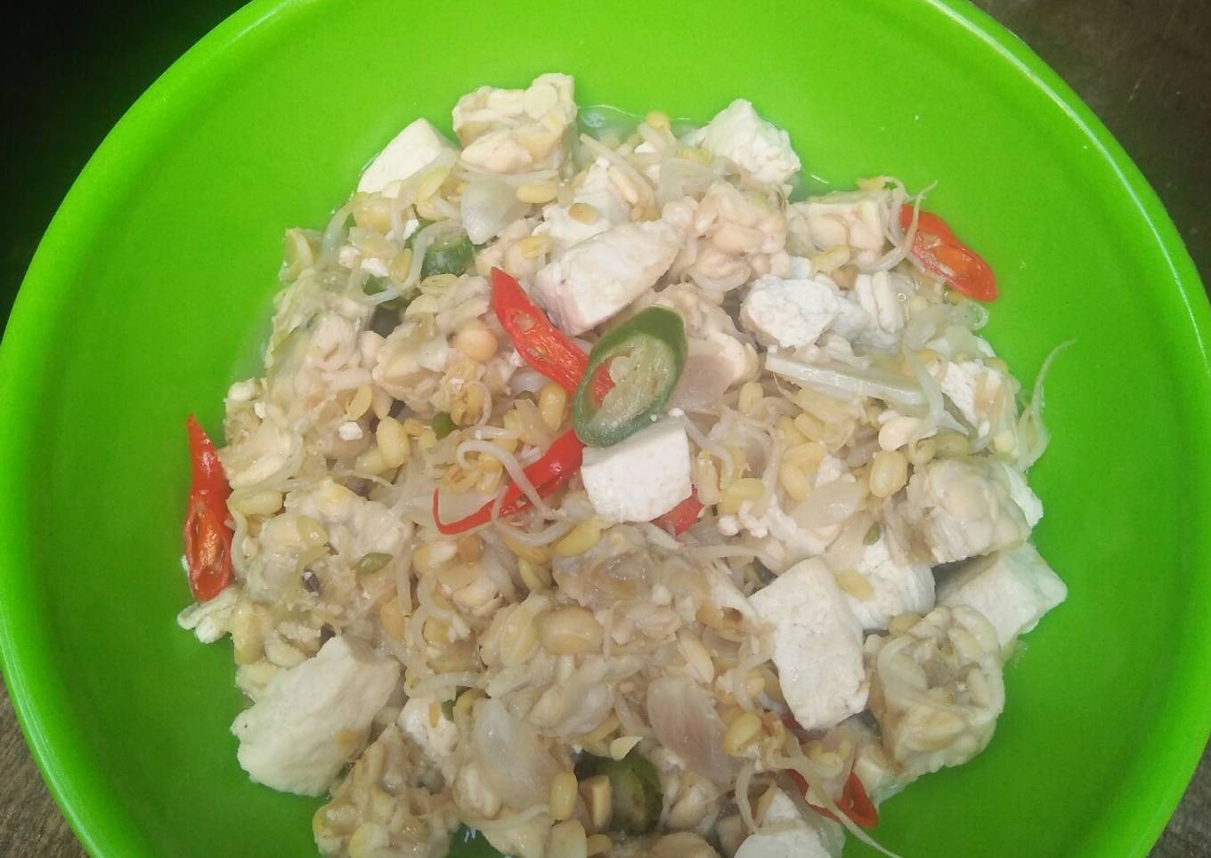 Tumis Tahu Tempe Kecambah