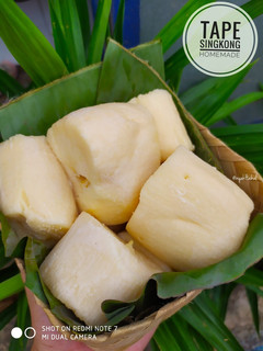 Foto resep Tape Singkong