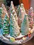 Bosque nevado