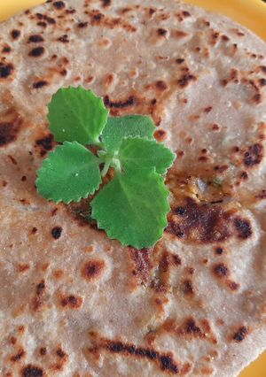 A picture of Aalo stuff paratha.