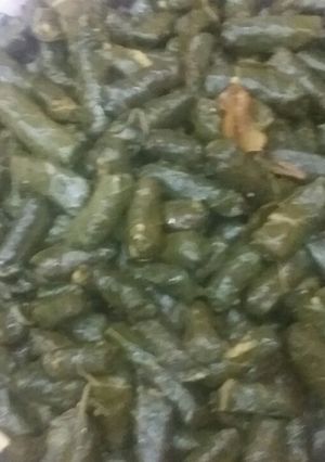 صورة لوصفة محشي ورق الزهرة (الشيفلور)