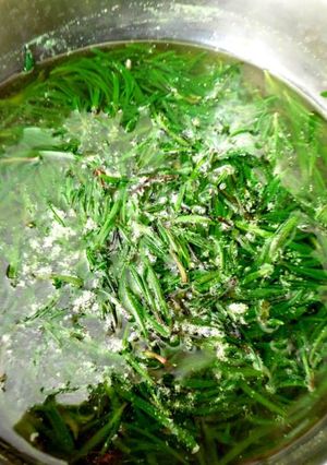 Una foto de Romeritos con tequesquite receta prehispánica y vegana