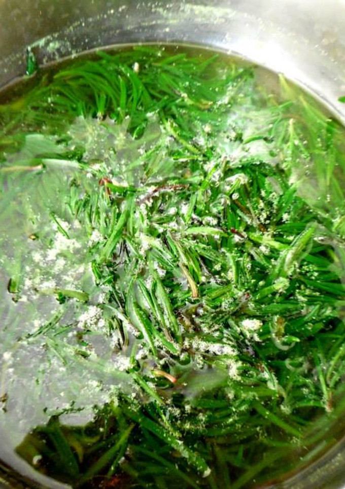 Una foto de Romeritos con tequesquite receta prehispánica y vegana