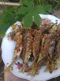 Iwak Goro Goreng (masakan ala khas pesisir Tuban)