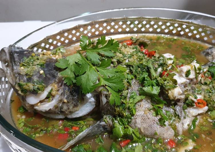 Resep Ikan Kerapu Tim Ala Thai Yang Enak Resep Masakanku