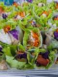 Vietnam Spring Rolls