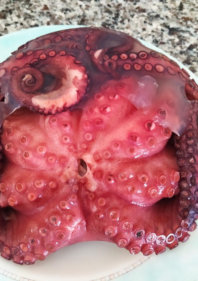 Una foto de Pulpo cocido en olla a presión. Fantástico y rápido