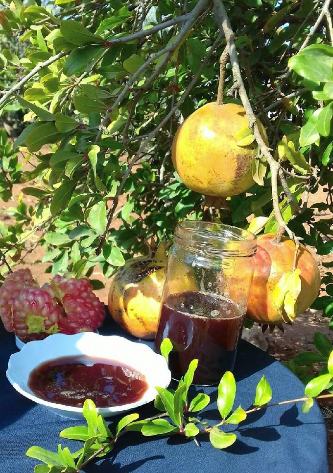 صورة دبس الرمان على طريقة البلد الحبيب سوريا