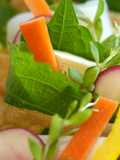 Diet Garden Sushi Recipe | How to Enjoy It Light and Refreshing 🫜🍙