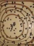 Torta cebra