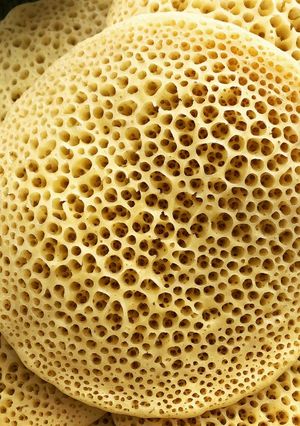 Une photo de Baghrirs - crêpes mille trous