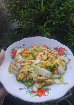 Foto resep Tumis pelangi warna warni (sawi putih, tahu, buncis, wortel)