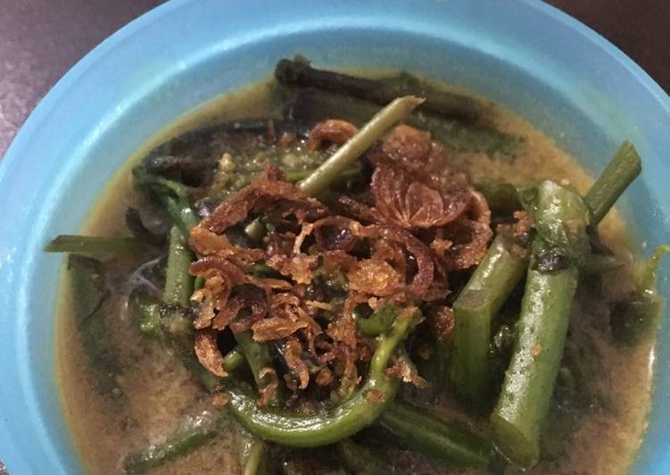 Pakis kuah gulai kare bamboe