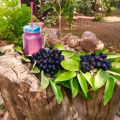 A picture of Black Grape Mocktail.