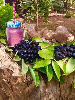 A picture of Black Grape Mocktail.