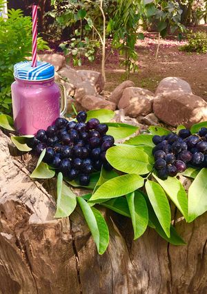 A picture of Black Grape Mocktail.