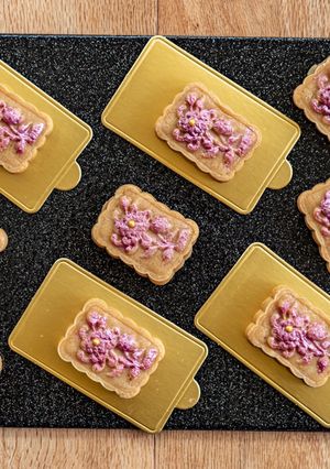 A picture of Biscoff barfi.