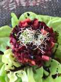 Randentartar auf Kopfsalat