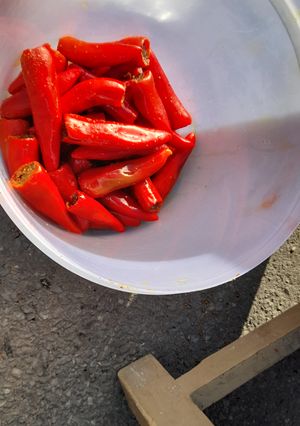 लाल मिर्च का अचार (lal mirch ka achar recipe in Hindi) रेसिपी मुख्य फोटो