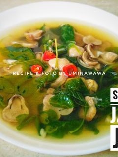 Foto resep Sup BeJeJe (Bayam Jamur Jahe)