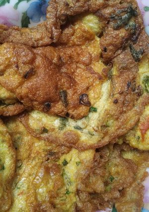 Foto resep Telur Dadar Mudah Istimewa
