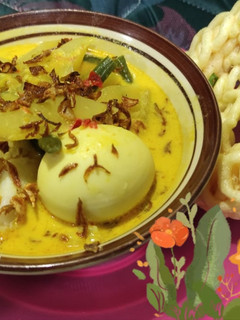 Foto resep Lontong Sayur Pepaya Muda