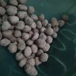Kacang telor
