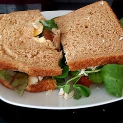 A picture of My Fridge Forage Chicken Salad Sandwich.