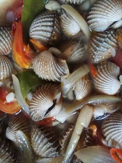 Foto resep Asam Asam Kerang Dara Saos Tiram