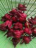 Jus Roselle Pandan