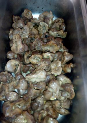 A picture of Gizzards.