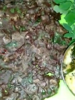 ராகி முருங்கை கீரை அடை (Raagi murunkai keerai adai recipe in tamil) செய்முறை முக்கிய புகைப்படம்
